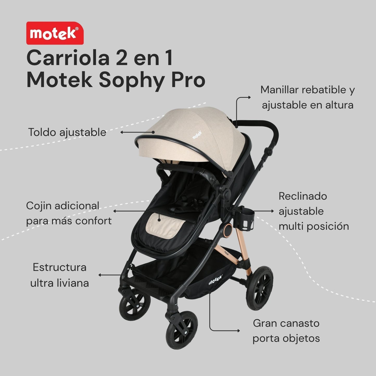 Carriola 2 en 1 Motek Sophy Pro - Bambineto Reversible 25kg