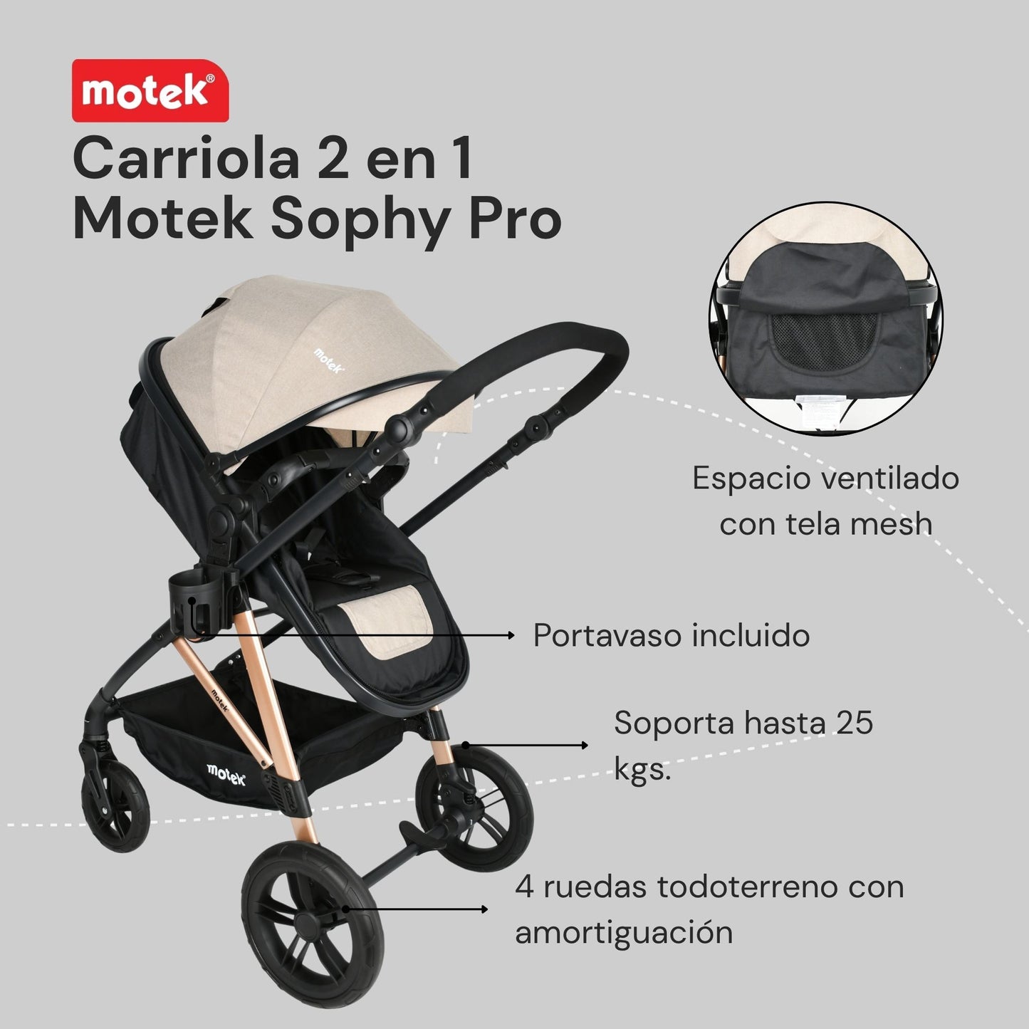 Carriola 2 en 1 Motek Sophy Pro - Bambineto Reversible 25kg